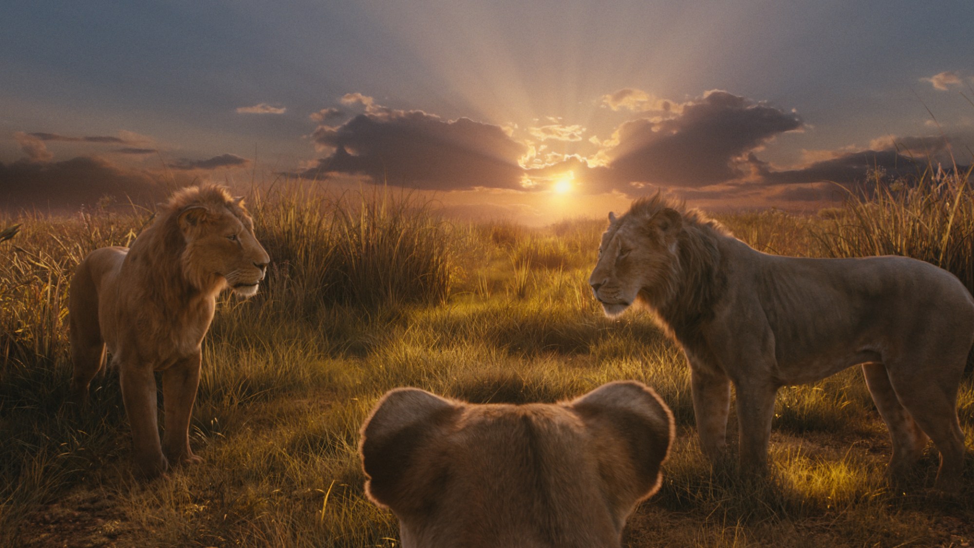 'Mufasa: The Lion King'